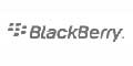BLACKBERRY Cellular Phone Battery