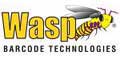 Wasp